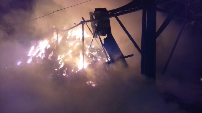 IMG-20190118-WA0002-696x392