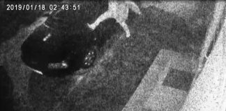 Video: Mașini din Târgu-Jiu, vandalizate cu lovituri de picioare!