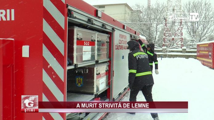 A MURIT STRIVITĂ DE LEMNE