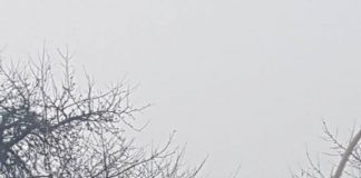 Într-o carieră a CE Oltenia se reinventează sclavagismul! – Salariați ai Minprest Serv, folosiți pe post de gropari în timpul serviciului, la cererea îndoliatului șef de sector!