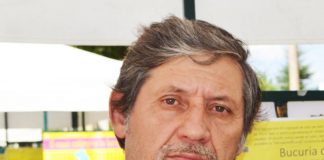 Eseu polikratic: În apărarea limbii române