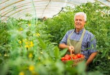 S-a promulgat noua lege a cooperativelor!