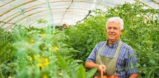 S-a promulgat noua lege a cooperativelor!