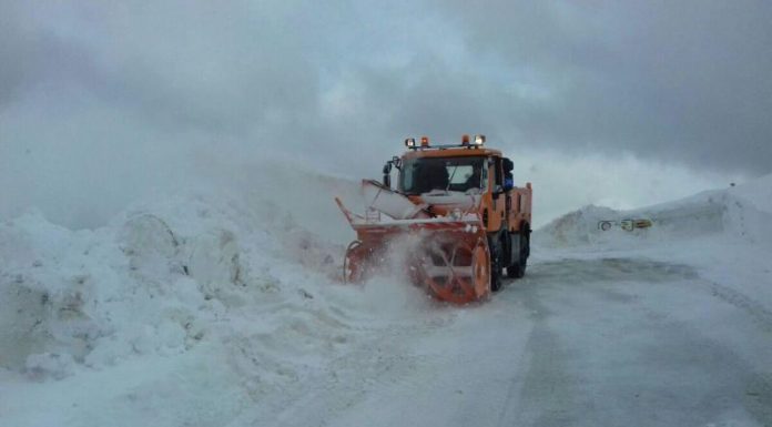 Video: Ninge la Rânca!