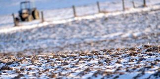 Iarnă deosebită – grijă deosebită pentru lucrări agricole în repausul vegetativ