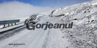 Încă o petiție pentru redeschiderea Transalpinei!