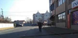 Amendă de 300 de lei pentru proprietarul unor cai lăsați liberi