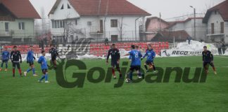 Încă un succes, la limită, pentru Pandurii