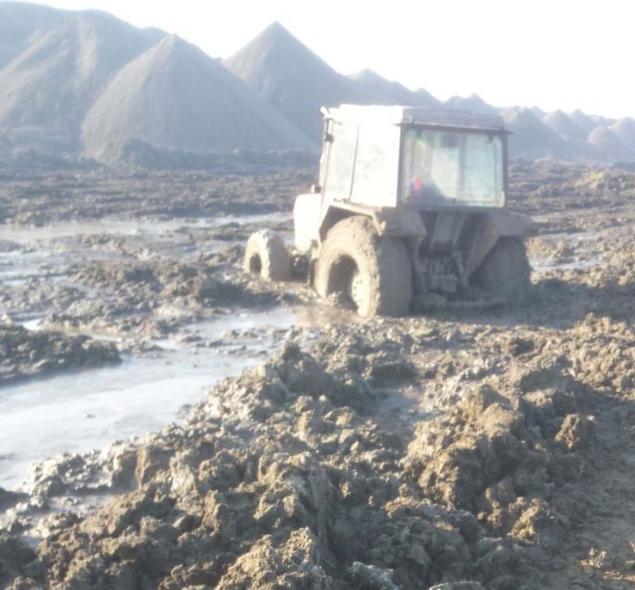 51556277_2068589826565564_5555388984462409728_n