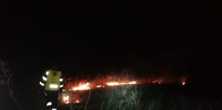 Incendiu de vegetație la Scoarța, pe o suprafață de 20 de hectare! Au intervenit pompierii și localnicii