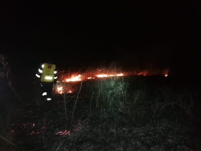 52024027_785262078517769_3980126724116447232_n