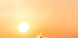 TERAPIE PENTRU SUFLET – Cine ne ghidează existența? Încotro ne îndreptăm?