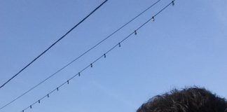 Sindicatul Solidaritatea 2013 se extinde în tot CEO prin departamente!