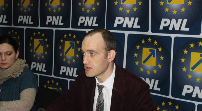 Deputatul Vîlceanu, vizită oficială în Lituania