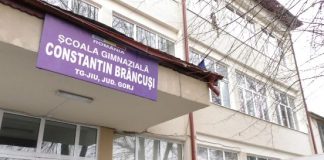 Aproximativ 200 de elevi gorjeni vor concura, în weekend, la Olimpiada de Lingvistică “Solomon Marcus”