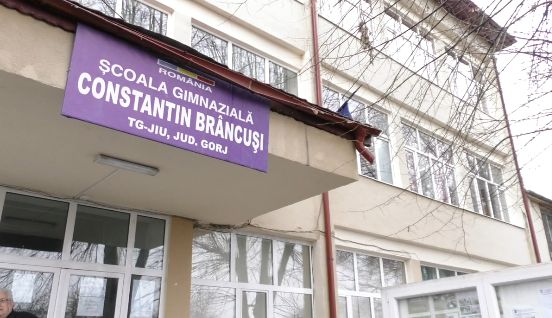 Scoala Constantin Brancusi