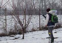 Lucrări agricole în livada și via aflate în repausul vegetativ