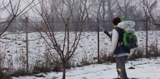 Lucrări agricole în livada și via aflate în repausul vegetativ