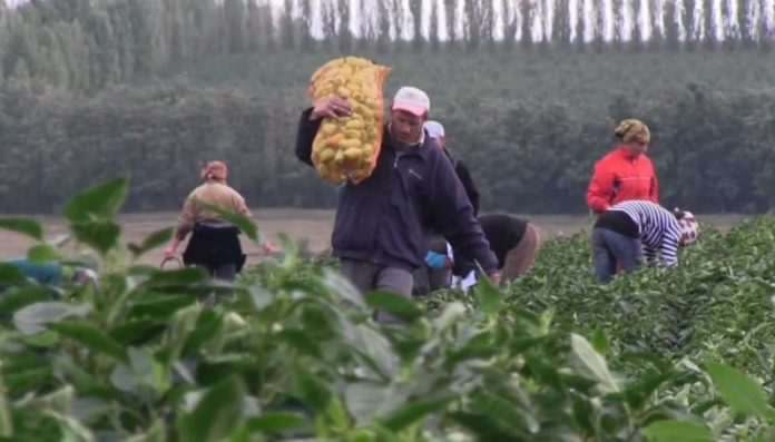 Zilieri-1-principal-