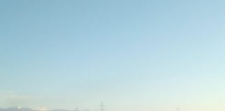 Cai lăsaţi liberi pe centura municipiului