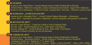 Elevii ŞPA Târgu-Jiu expun la Cluj