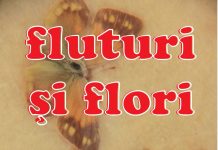 O nouă expoziţie la CJCPCT Gorj