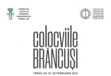 Alexandra Fits, mâine, în concert la Târgu-Jiu