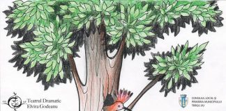 O nouă premieră, la Teatrul “Elvira Godeanu”