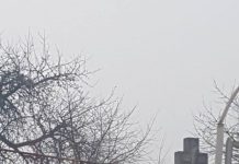 Șeful de echipă de la Minprest, care și-a făcut subordonații gropari în Cimitirul din Roșiuța, sancționat la salariu!