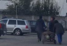 Cum arată subalterna ideală pentru directorul unei uzine din Gorj: Este muncită, trage la căruț ca un animal de povară, cară cu mâinile greutăți mari și nu cere bani!