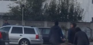 Cum arată subalterna ideală pentru directorul unei uzine din Gorj: Este muncită, trage la căruț ca un animal de povară, cară cu mâinile greutăți mari și nu cere bani!
