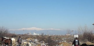 Mamă și fiu, amendați pentru aruncare de deșeuri