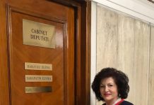 Deputatul Elvira Șarapatin cere ajutoare de stat pentru producția românescă