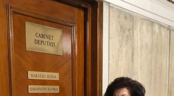 Deputatul Elvira Șarapatin cere ajutoare de stat pentru producția românescă