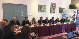 Boza: Taxele îngenunchează CE Oltenia