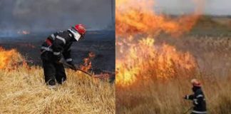 Pompierii fac apel la cetățeni să respecte măsurile de prevenire a incendiilor de vegetație uscată