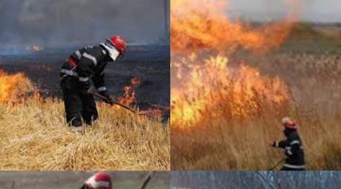 Număr alarmant de incendii de vegetație uscată, în Gorj, în ultimele cinci zile