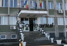 IPJ Gorj a dispus verificări în cazul lemnului încărcat cu portbagajul la Baia de Fier!