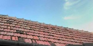 Înșelăciune cu burlane la Novaci