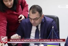 NEGOCIERI ROMÂNO-CHINEZE LA SEDIUL CE OLTENIA
