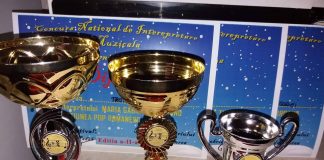 Noi distincţii pentru o elevă a ŞPA Târgu-Jiu