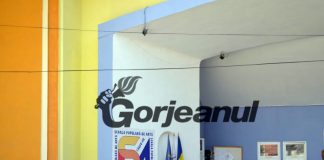 Preselecţie internă a cursanţilor Școlii Populare de Artă Târgu-Jiu
