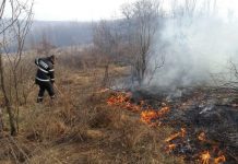 Zeci de incendii de vegetație în trei zile, în Gorj! Pompierii fac, din nou, apel la cetățeni