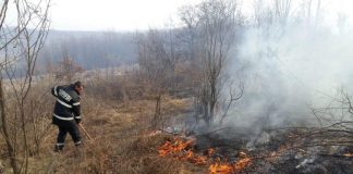 Zeci de incendii de vegetație în trei zile, în Gorj! Pompierii fac, din nou, apel la cetățeni