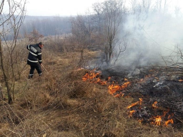 53580510_2116250718451538_1281907567303327744_n