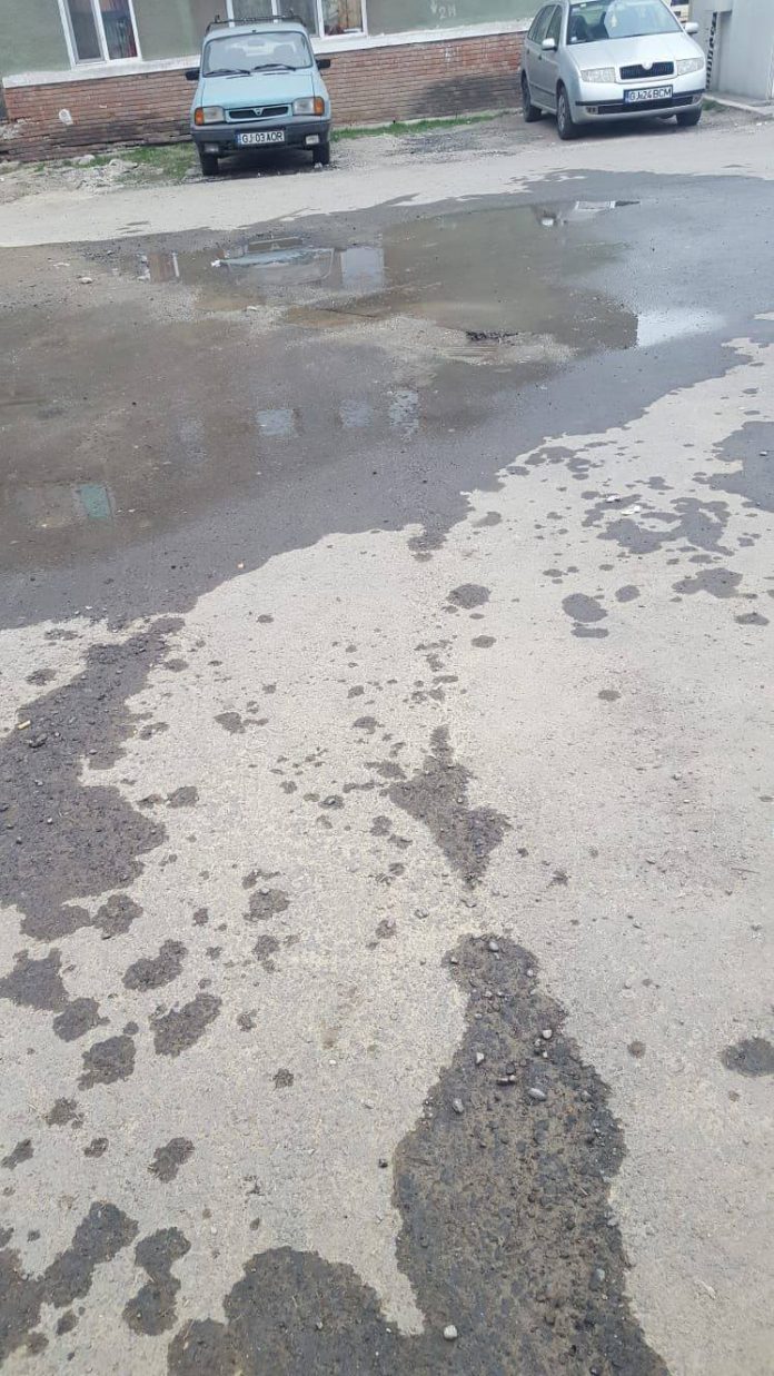 54255213_276992133228791_711649293236174848_n