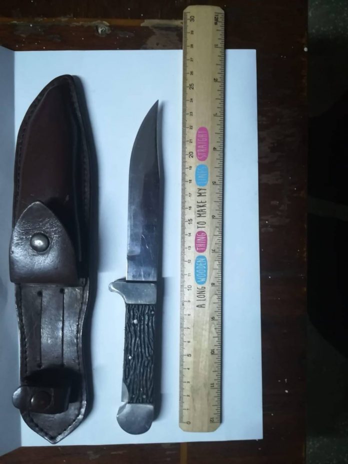 54517560_359533388231118_5249979516515778560_n