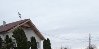 Consilieri din Fărcășești, audiați la Poliția Rovinari! Plângere penală pentru șoferul primarului Drăgoescu