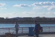 Edilitara Public anunță că a luat măsuri cu salariații Sectorului Parcuri care nu și-au îndeplinit sarcinile de serviciu