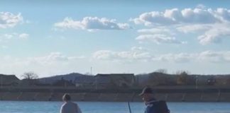 Edilitara Public anunță că a luat măsuri cu salariații Sectorului Parcuri care nu și-au îndeplinit sarcinile de serviciu